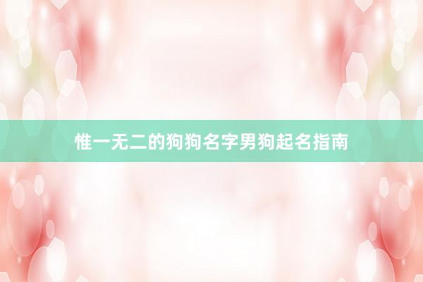 惟一无二的狗狗名字男狗起名指南